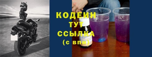шишки Снежинск