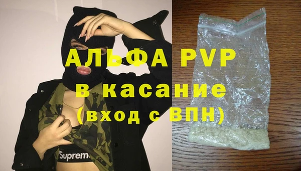 гашик Белокуриха